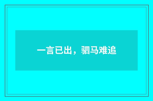 一言已出，驷马难追