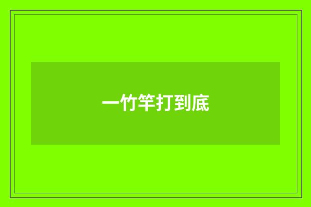 一竹竿打到底
