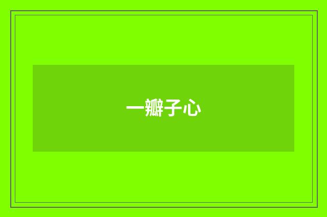 一瓣子心