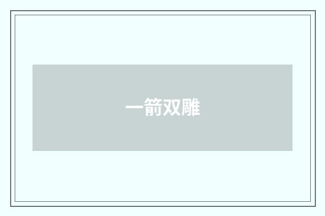 一箭双雕