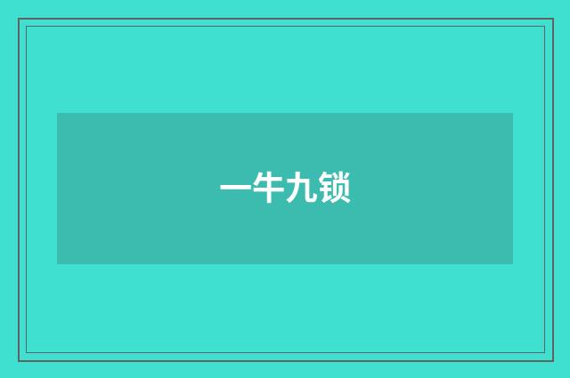 一牛九锁