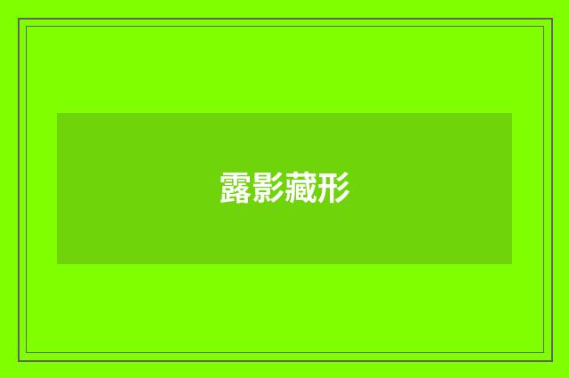 露影藏形