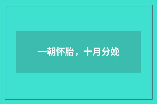 一朝怀胎，十月分娩