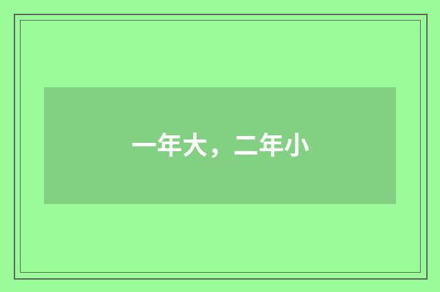一年大，二年小