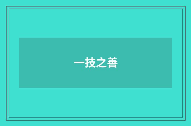 一技之善