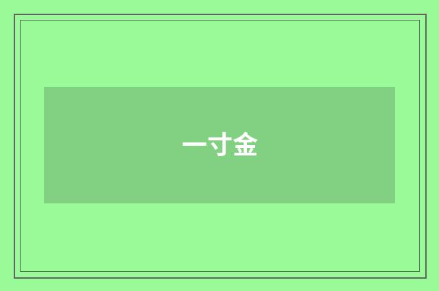 一寸金