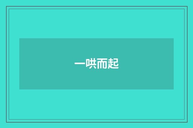 一哄而起
