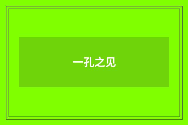 一孔之见