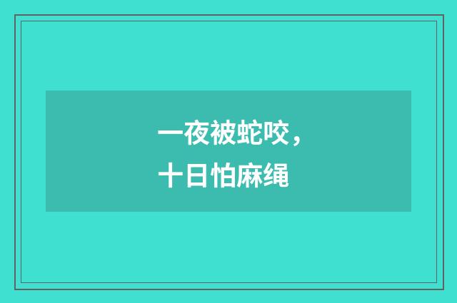 一夜被蛇咬，十日怕麻绳