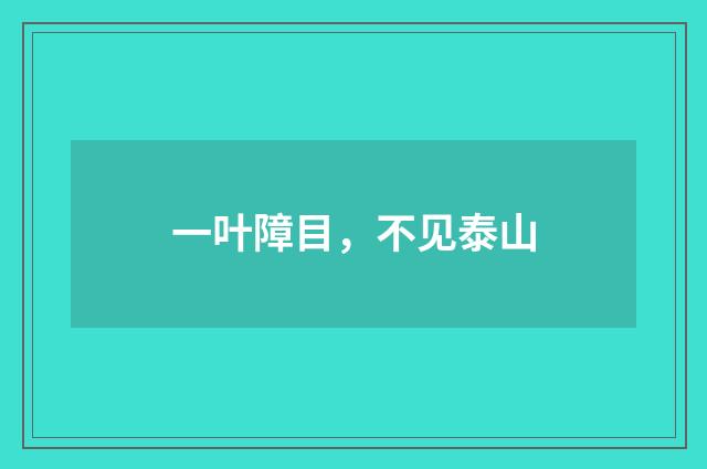 一叶障目，不见泰山