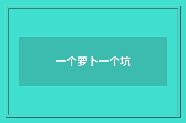 一个萝卜一个坑