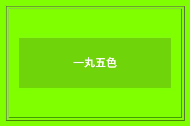 一丸五色