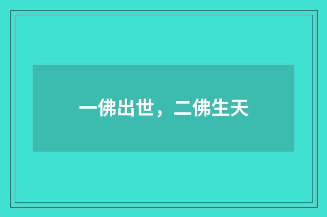 一佛出世，二佛生天
