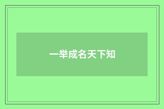 一举成名天下知