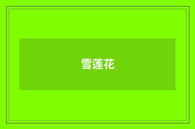 雪莲花