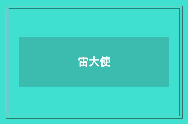 雷大使