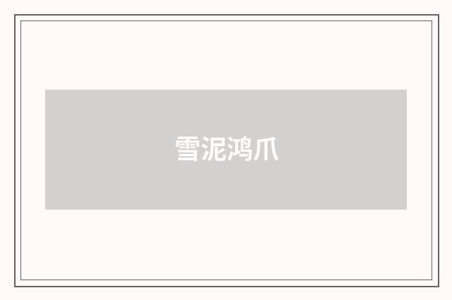 雪泥鸿爪