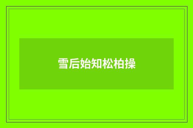 雪后始知松柏操