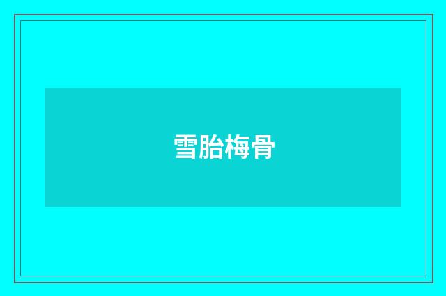 雪胎梅骨