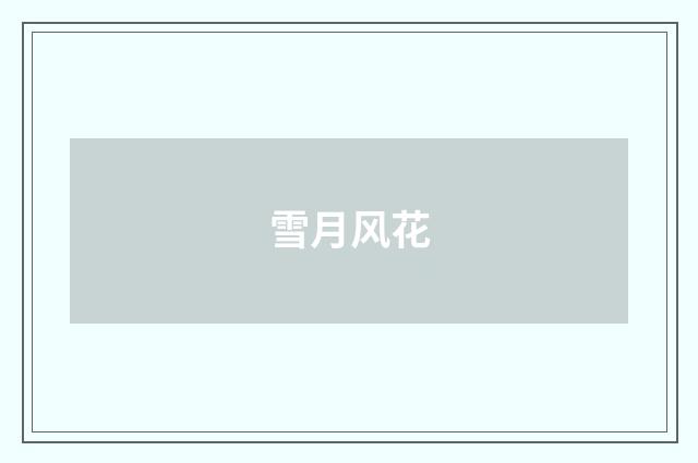 雪月风花