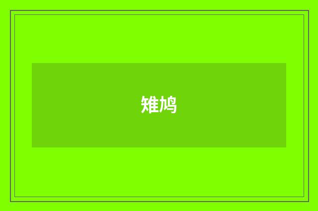 雉鸠