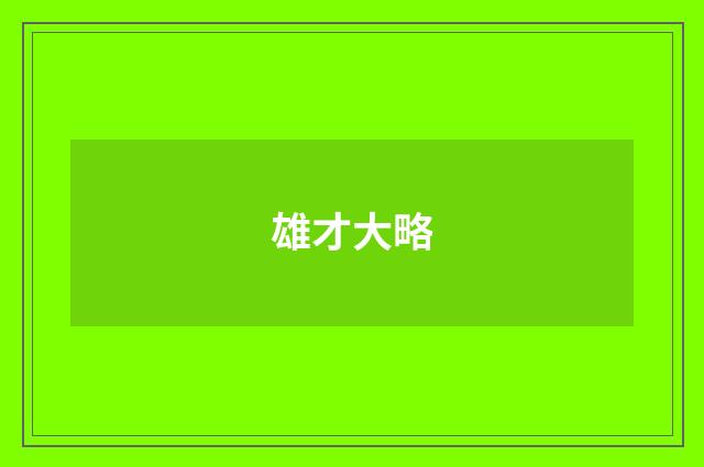 雄才大略