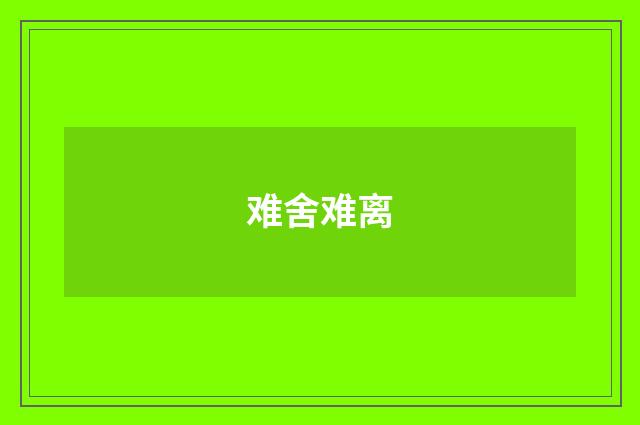 难舍难离