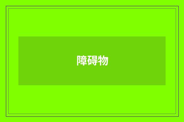 障碍物