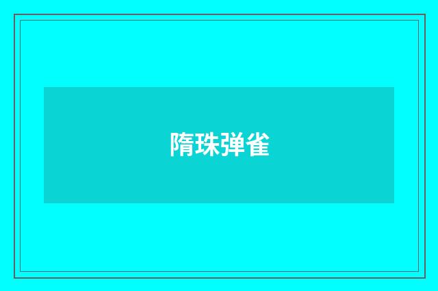 隋珠弹雀