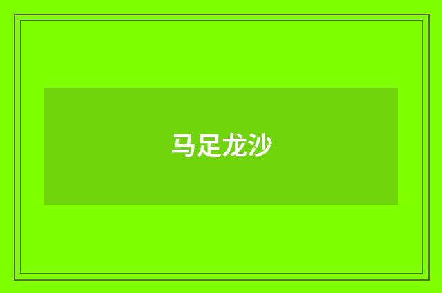 马足龙沙