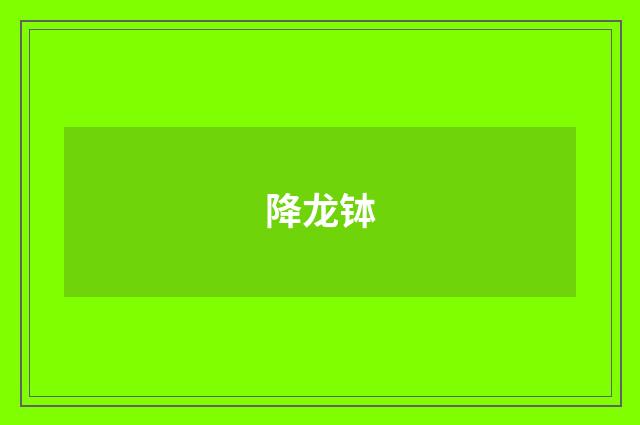 降龙钵