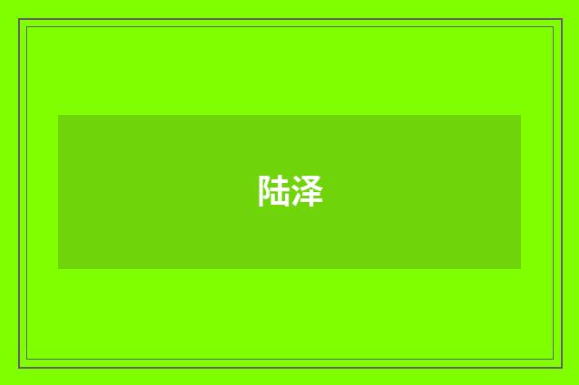 陆泽