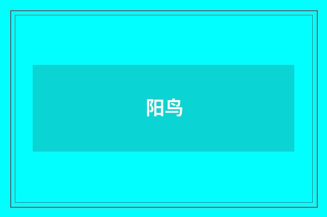 阳鸟