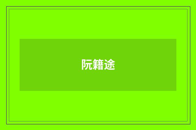 阮籍途