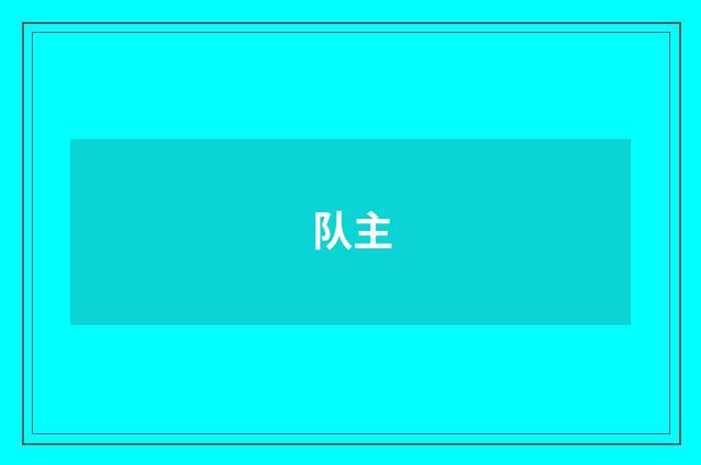 队主