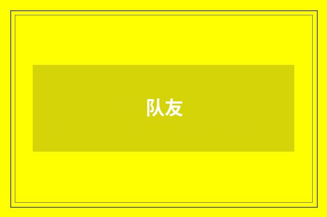 队友