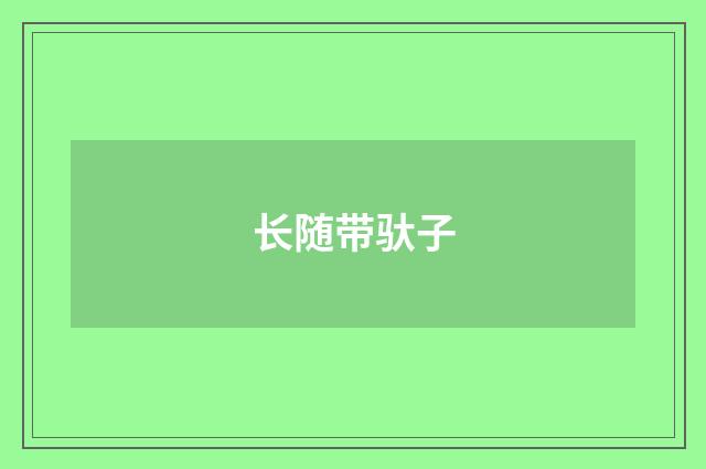 长随带驮子