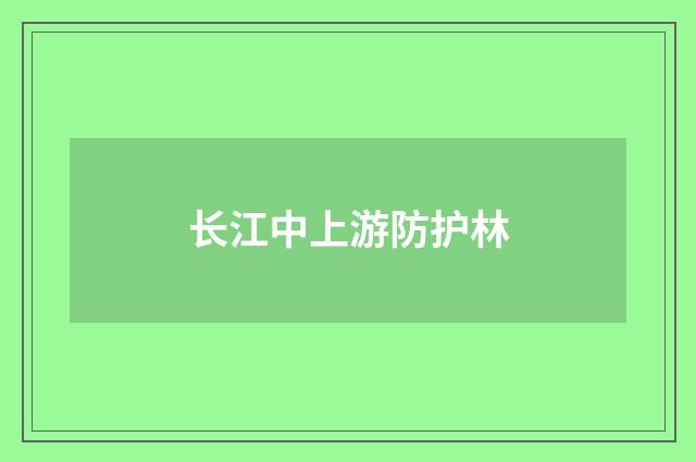 长江中上游防护林