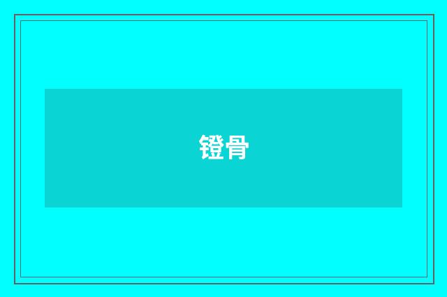 镫骨