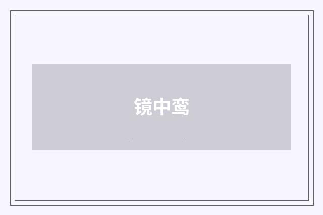 镜中鸾