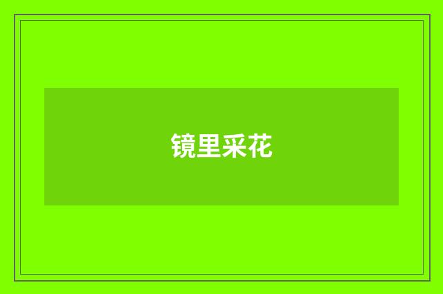 镜里采花