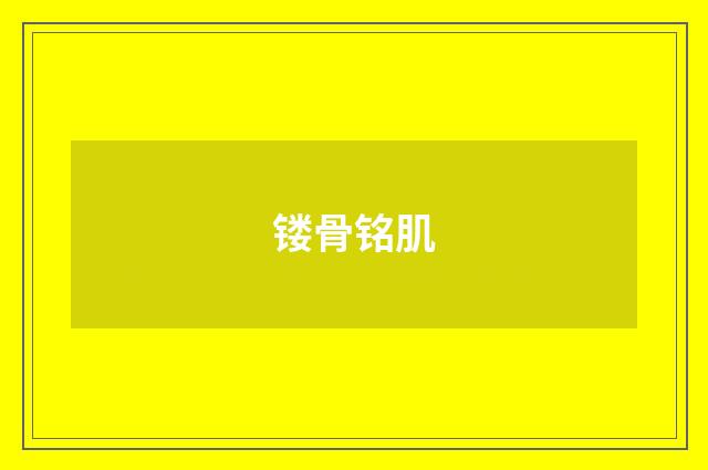 镂骨铭肌