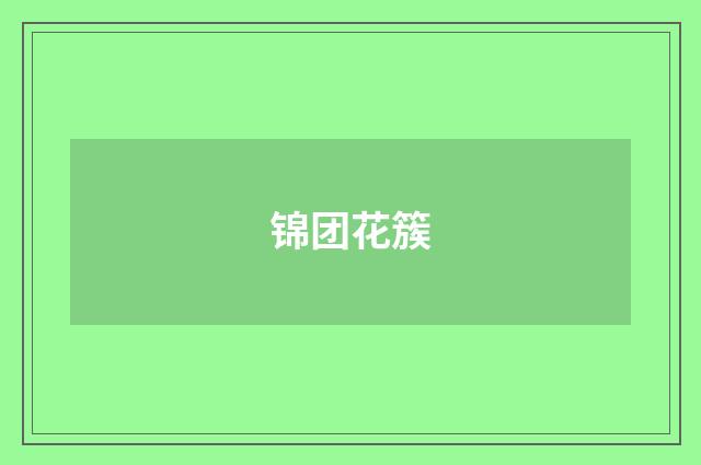 锦团花簇