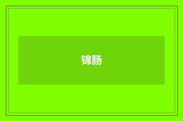 锦肠