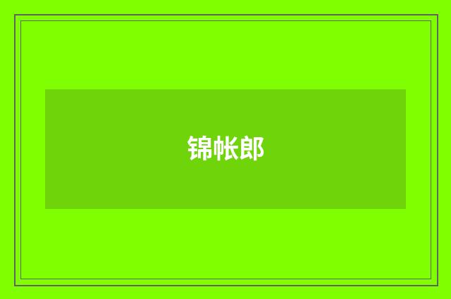 锦帐郎