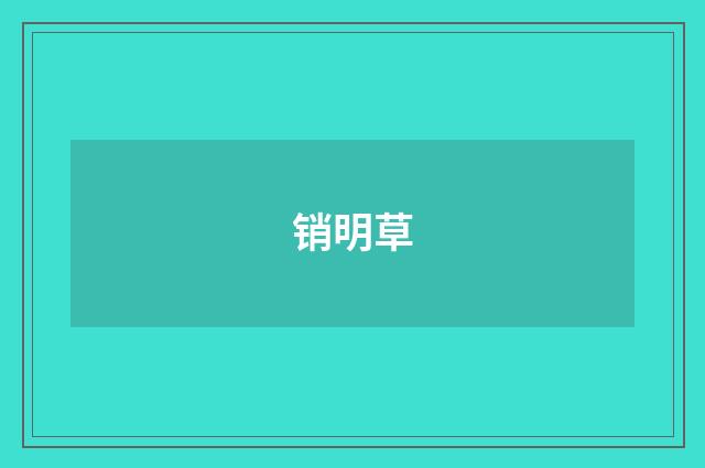 销明草