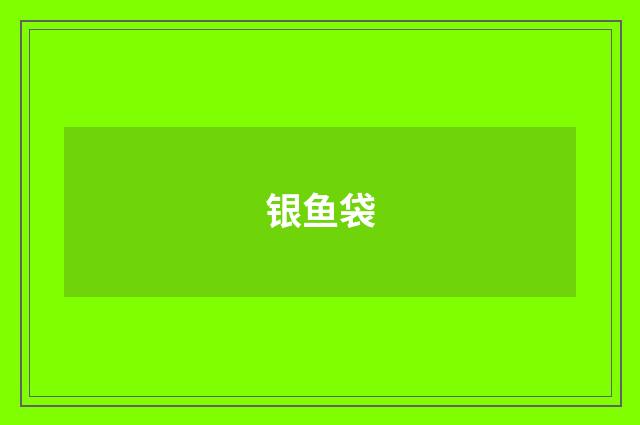 银鱼袋