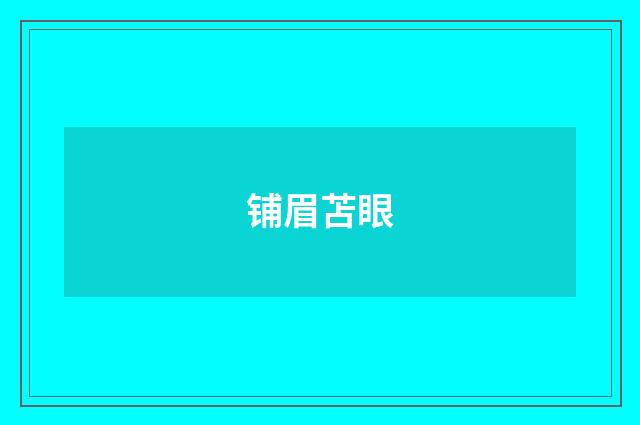 铺眉苫眼