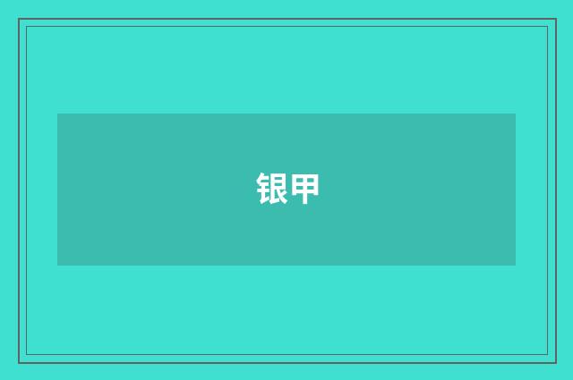 银甲