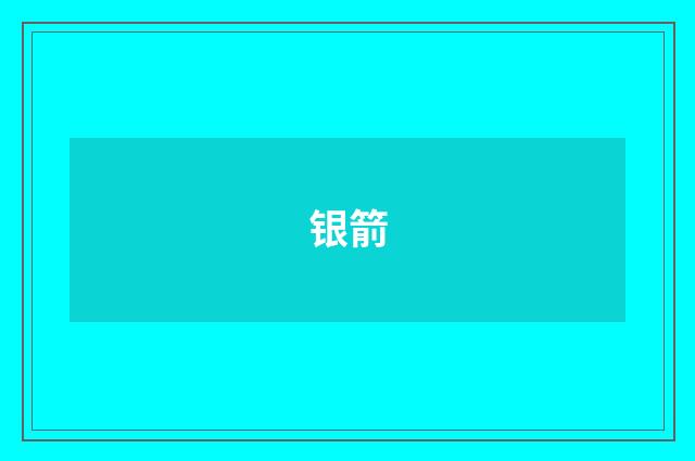 银箭